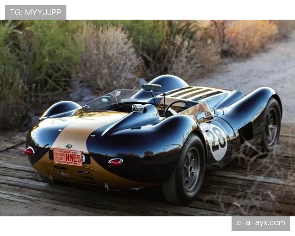 恩佐赛事引爆全球关注，影响力飙升引热议