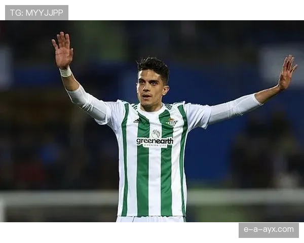 赫罗纳欧战惜败，伤愈复出仍需时日