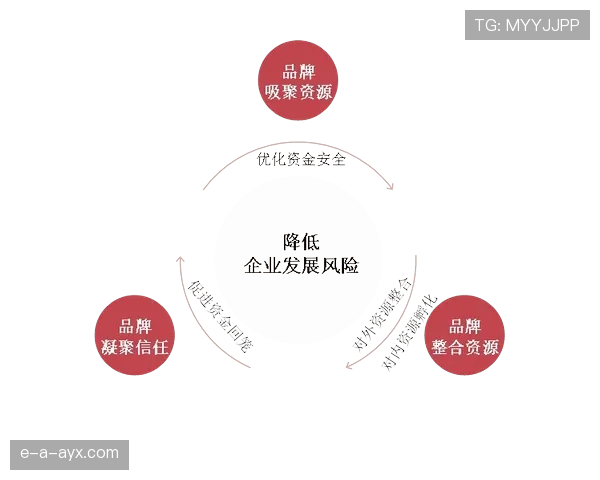 奥利塞发展路径与定位合理性分析